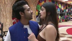 puneesh-bandgi-In-Big-Boss-11