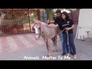 Mukta-Barve-Animals-Matter-To-Me